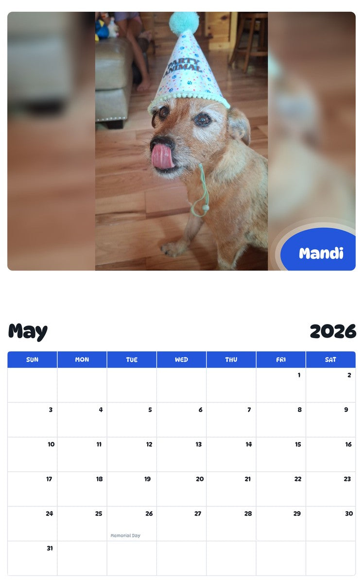 2026 - 2027 Mandi - Pawidols Pet Calendar