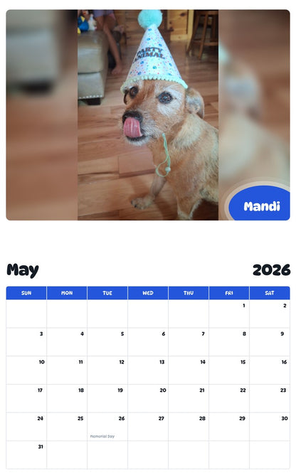 2026 - 2027 Mandi - Pawidols Pet Calendar