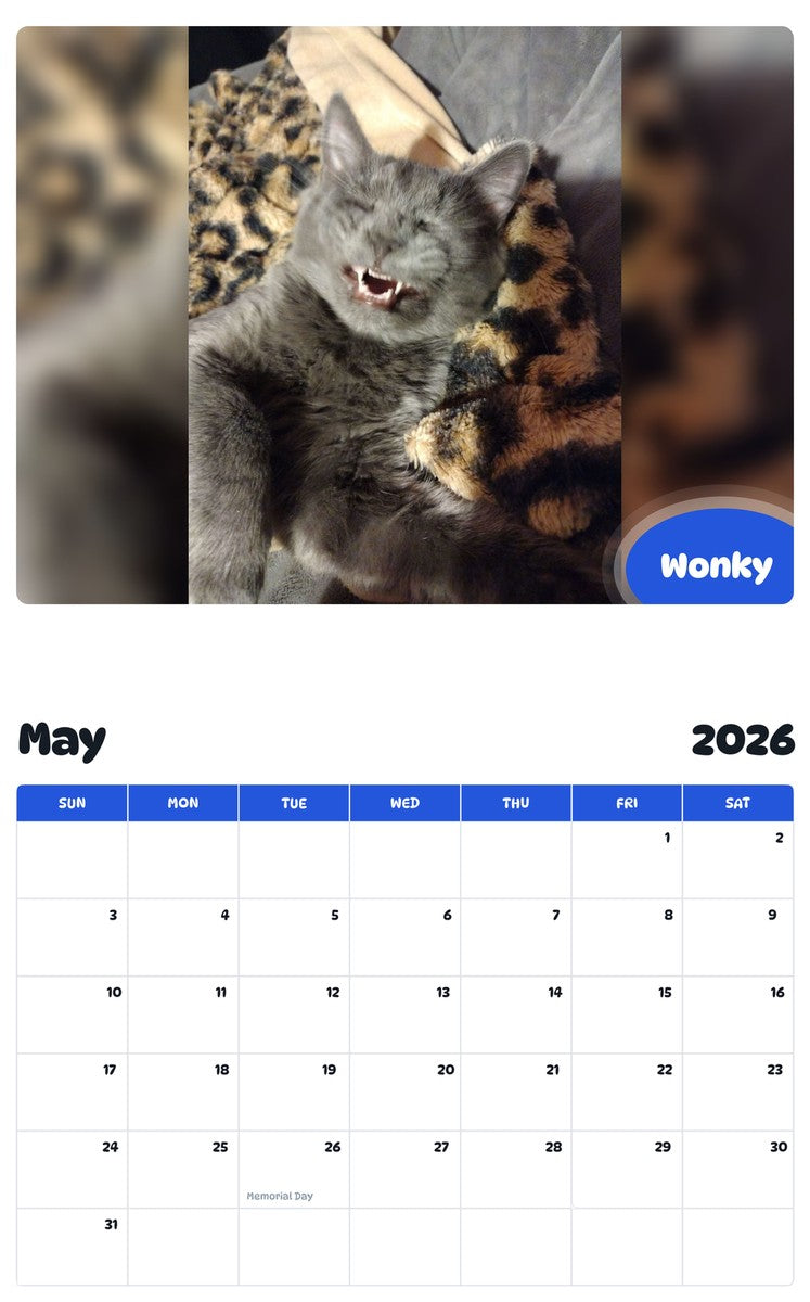2026 - 2027 Wonky - Pawidols Pet Calendar