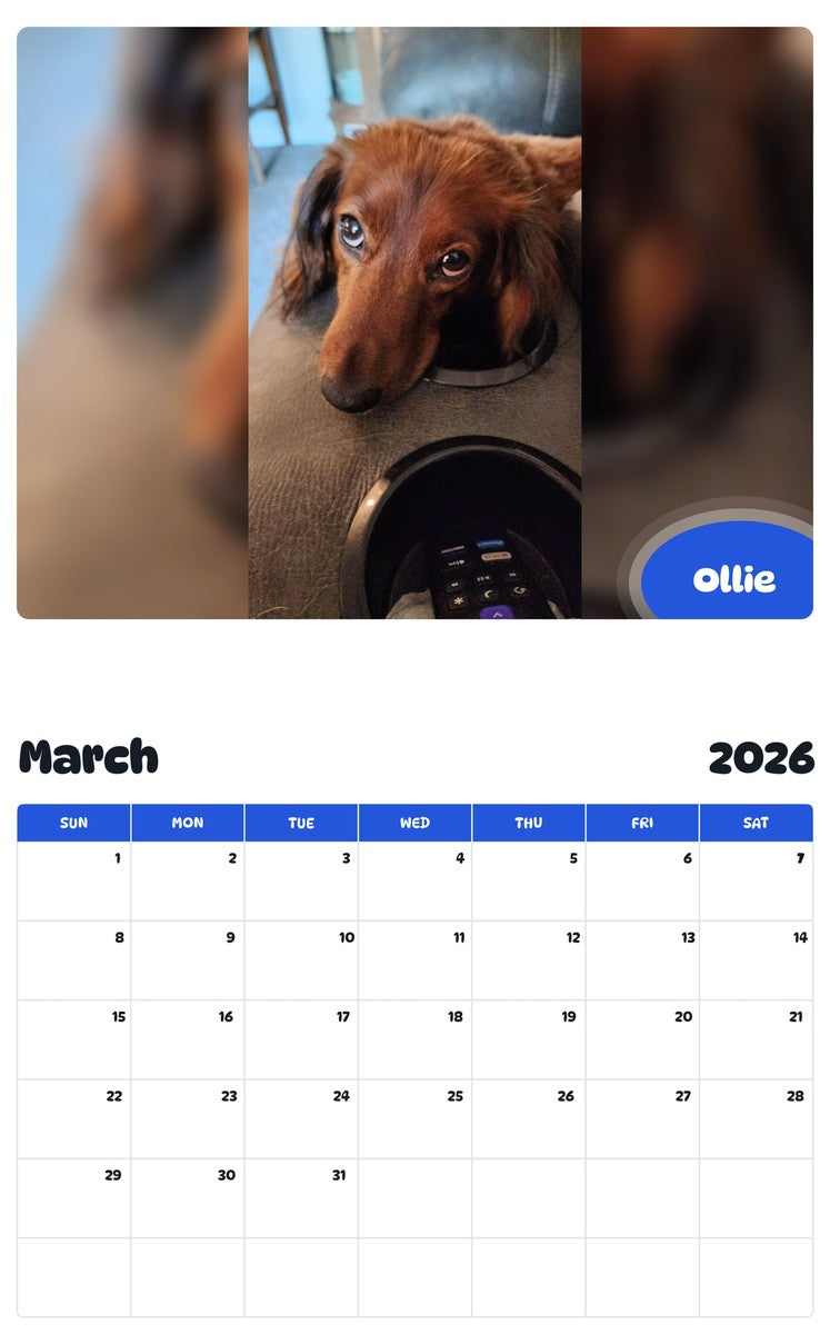 November 2025 - October 2026 Ollie - Pawidols Pet Calendar