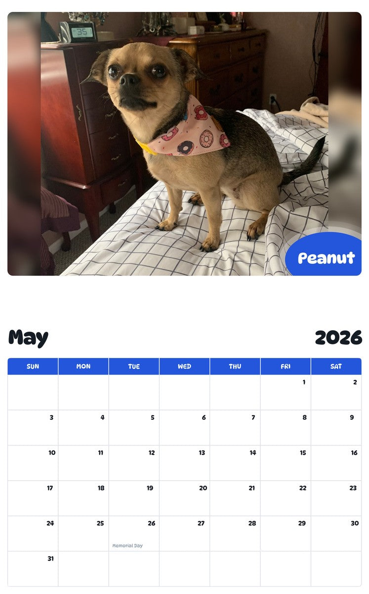 2026 - 2027 Peanut - Pawidols Pet Calendar