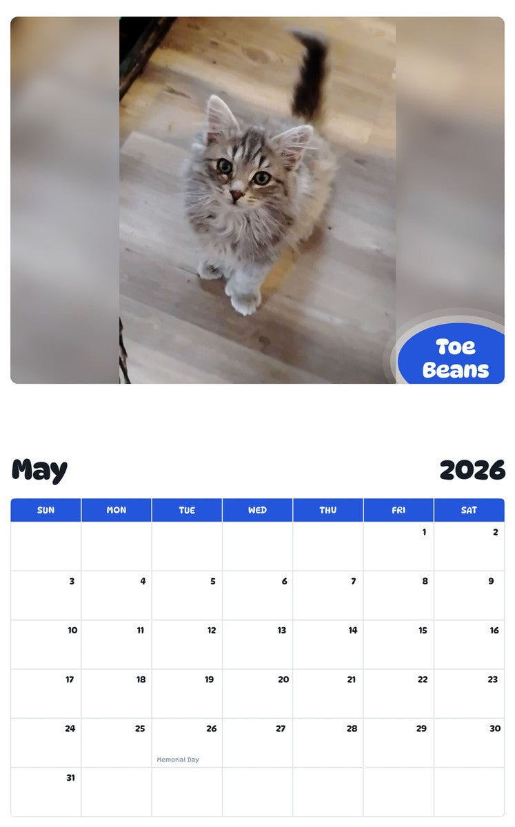2026 - 2027 Toe Beans - Pawidols Pet Calendar