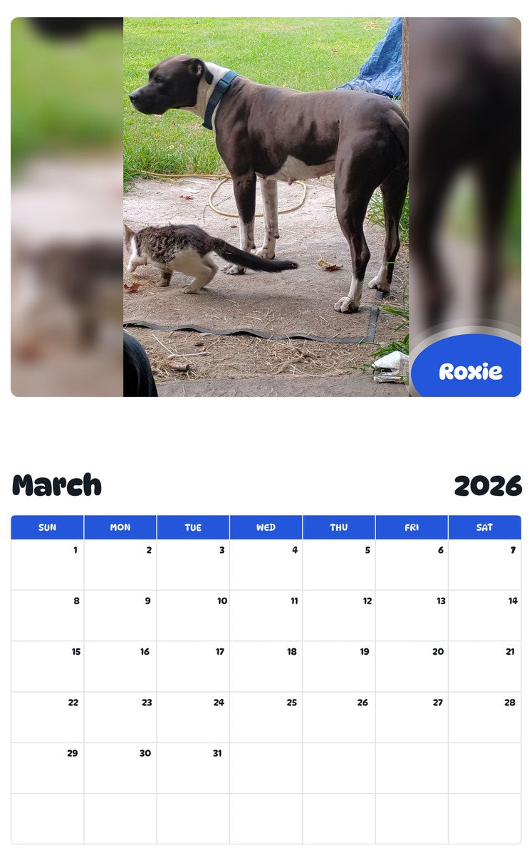 November 2025 - October 2026 Roxie - Pawidols Pet Calendar