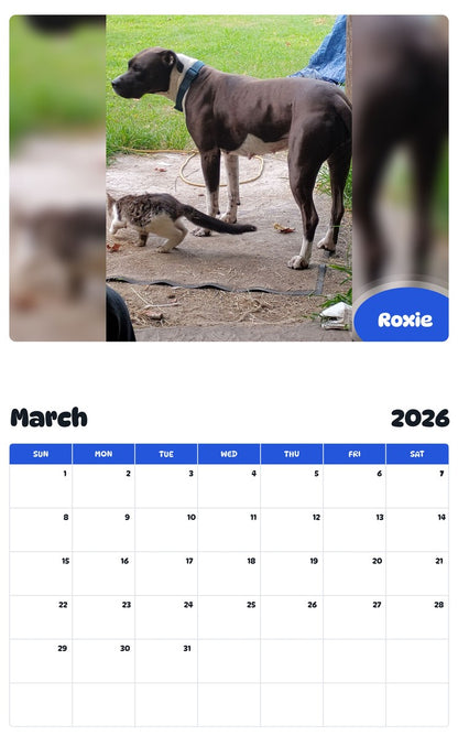 November 2025 - October 2026 Roxie - Pawidols Pet Calendar