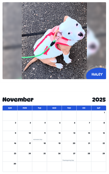 July 2025 - June 2026 Haley - Pawidols Pet Calendar