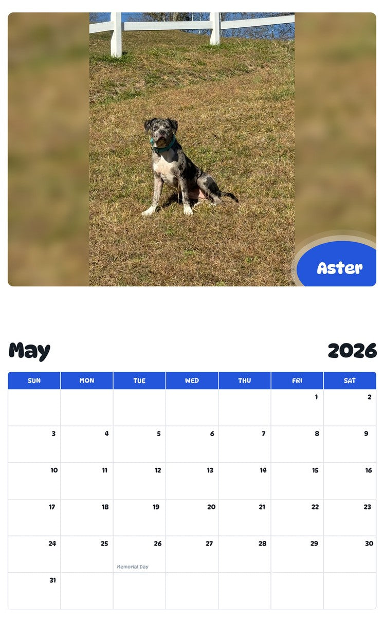 2026 - 2027 Aster - Pawidols Pet Calendar