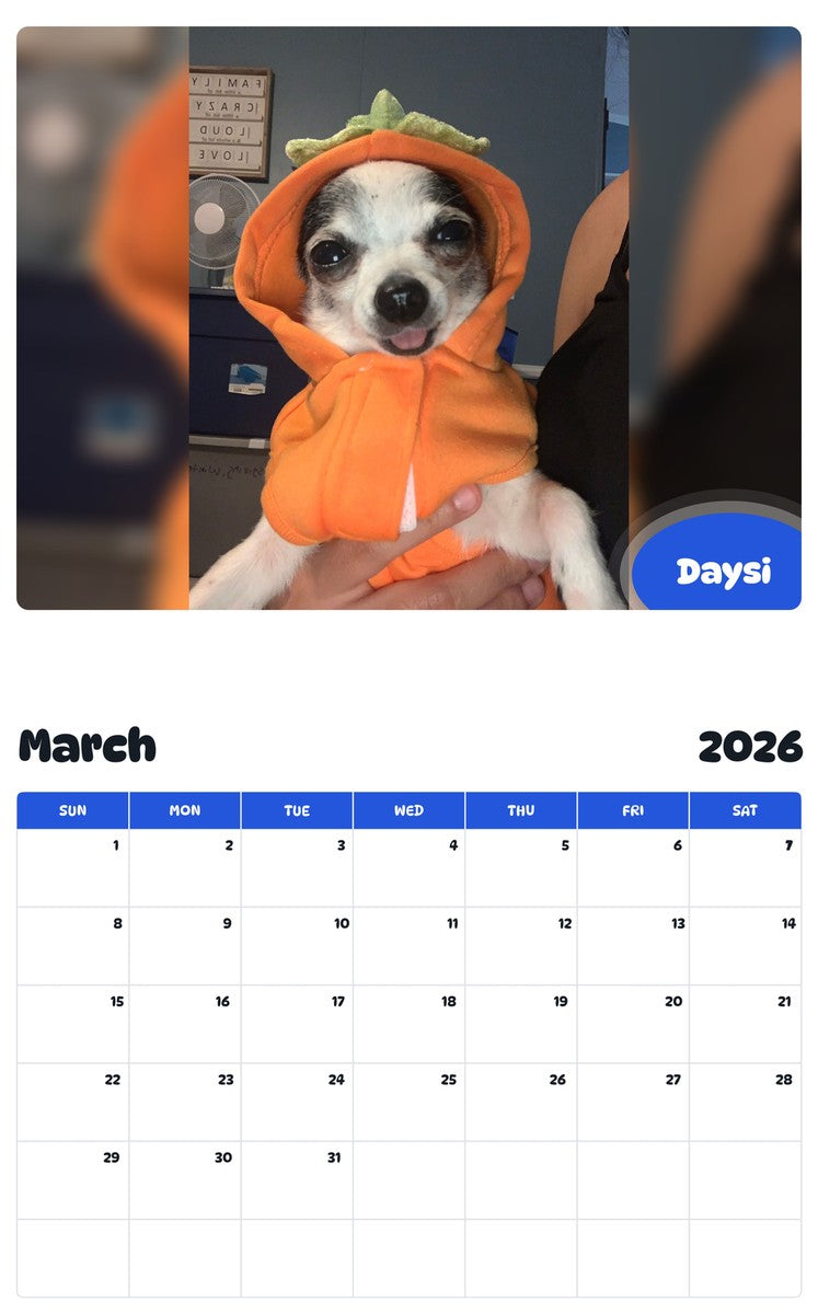 November 2025 - October 2026 Daysi - Pawidols Pet Calendar