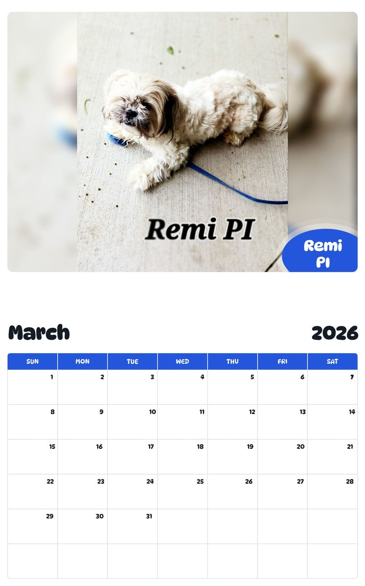 November 2025 - October 2026 Remi PI - Pawidols Pet Calendar