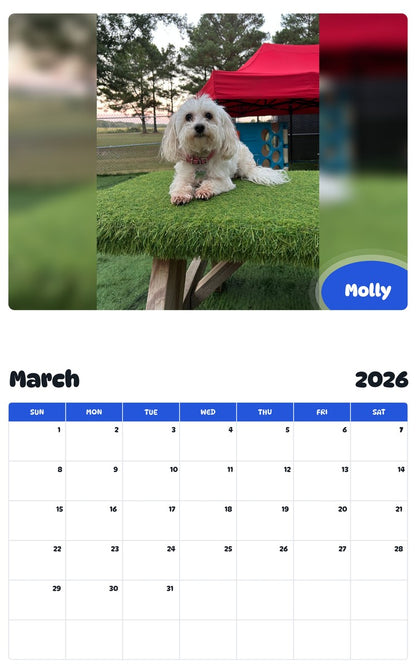 November 2025 - October 2026 Molly - Pawidols Pet Calendar