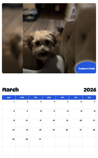 November 2025 - October 2026 Tucker & Tank - Pawidols Pet Calendar