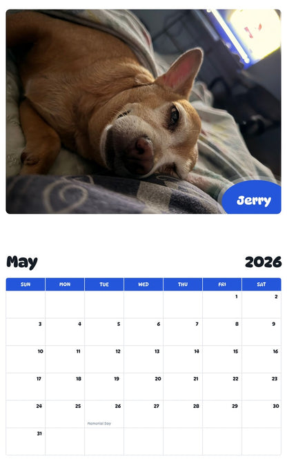 2026 - 2027 Jerry - Pawidols Pet Calendar