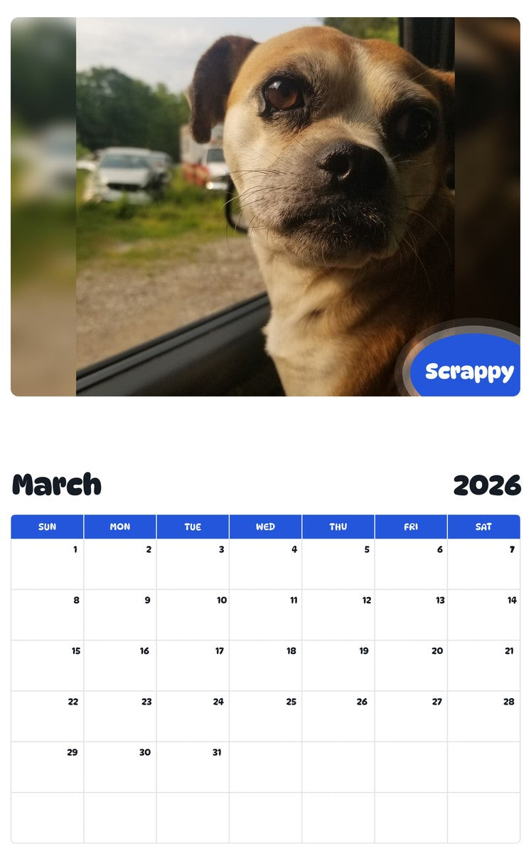 November 2025 - October 2026 Scrappy - Pawidols Pet Calendar