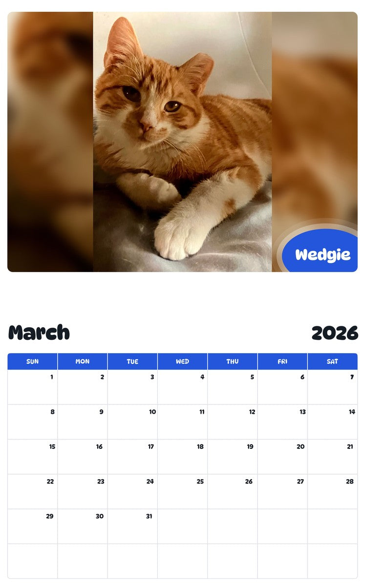 November 2025 - October 2026 Wedgie - Pawidols Pet Calendar