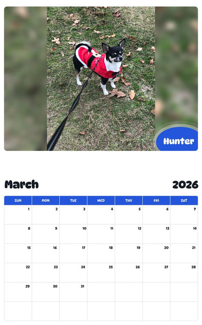 November 2025 - October 2026 Hunter - Pawidols Pet Calendar