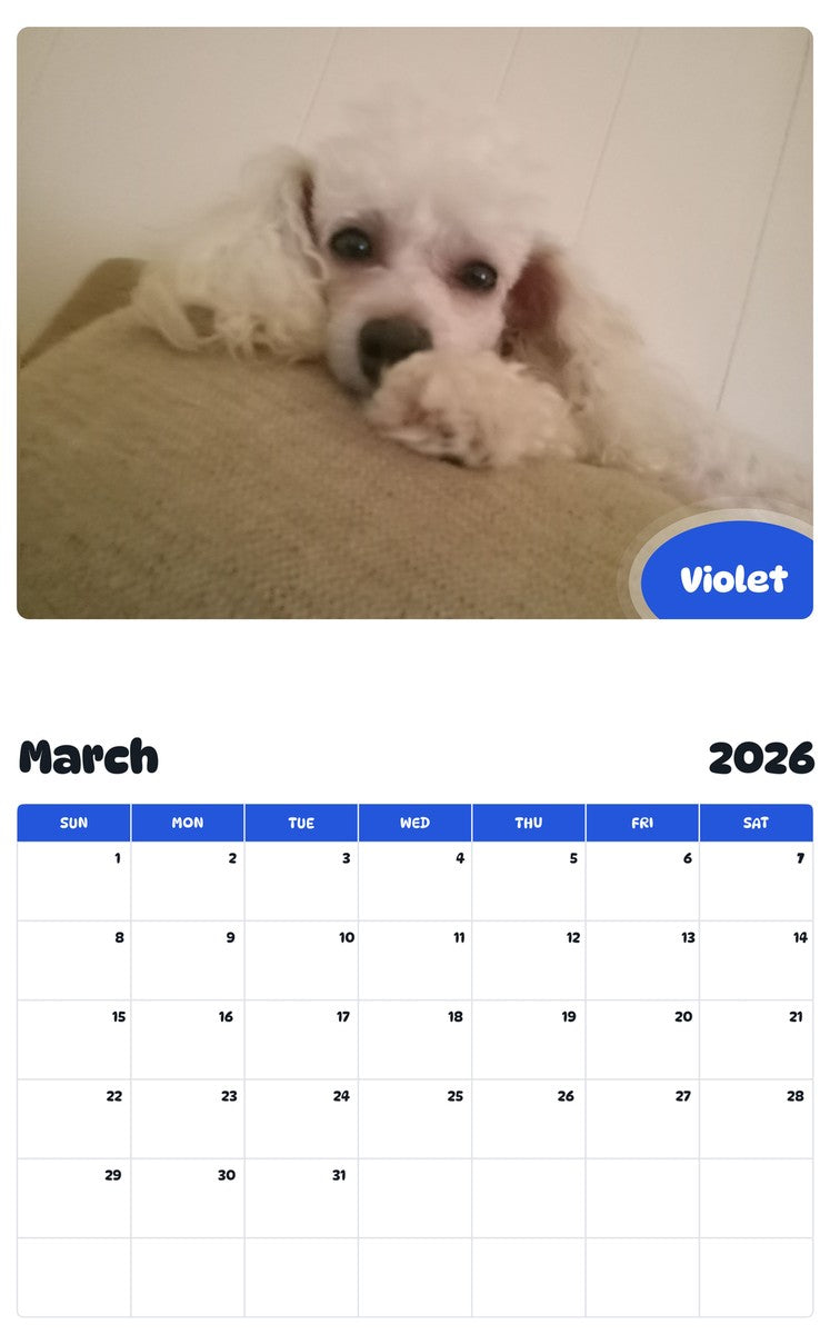 November 2025 - October 2026 Violet - Pawidols Pet Calendar