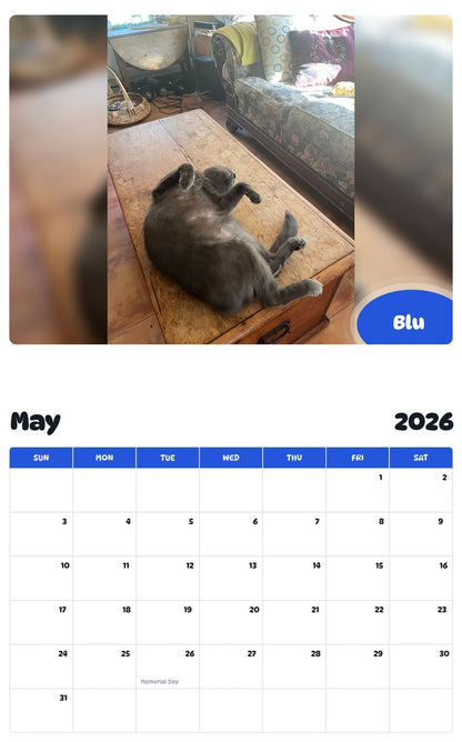 2026 - 2027 Blu - Pawidols Pet Calendar