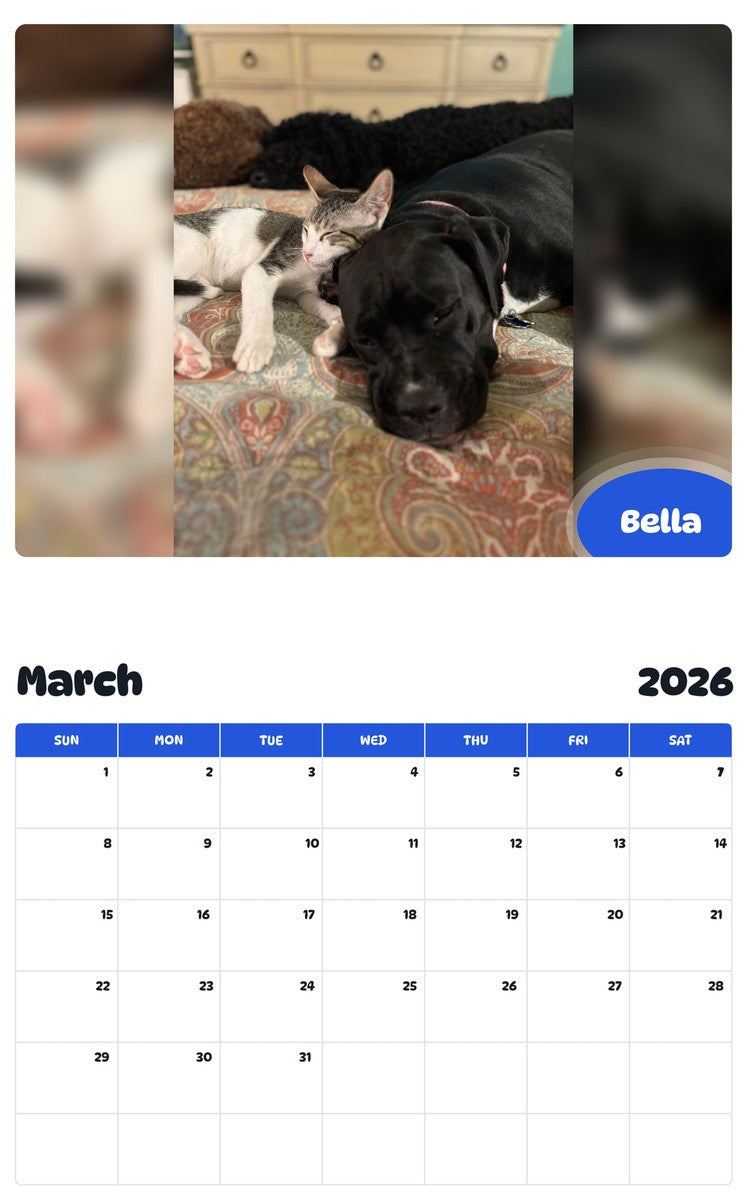 November 2025 - October 2026 Bella - Pawidols Pet Calendar