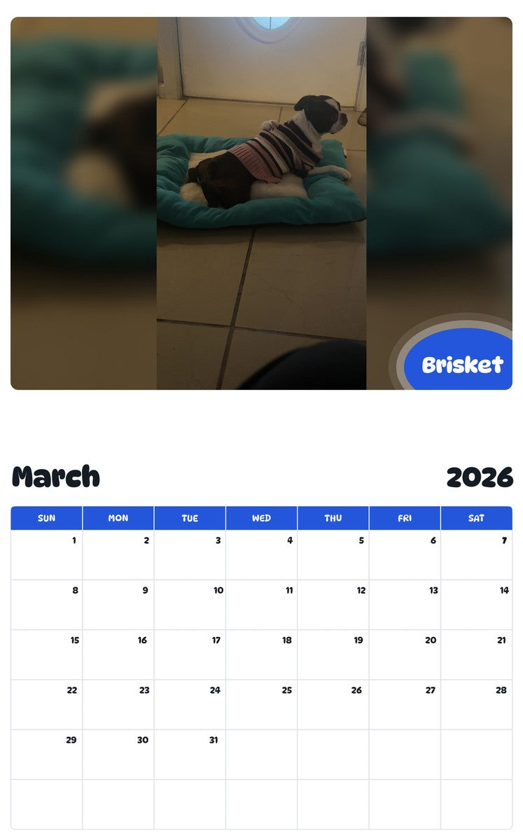 November 2025 - October 2026 Brisket - Pawidols Pet Calendar