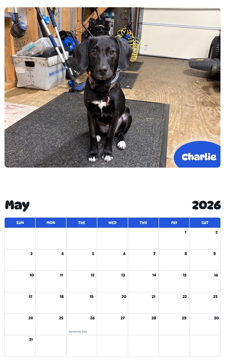 2026 - 2027 Charlie - Pawidols Pet Calendar
