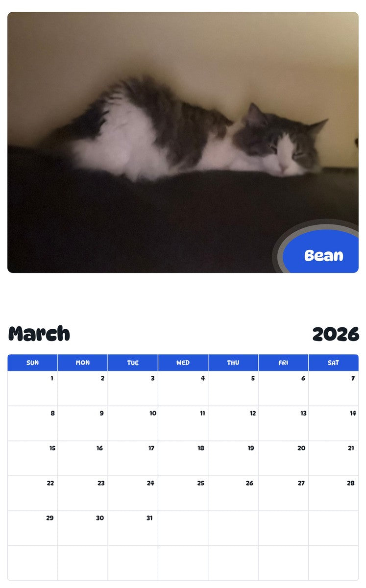 November 2025 - October 2026 Bean - Pawidols Pet Calendar