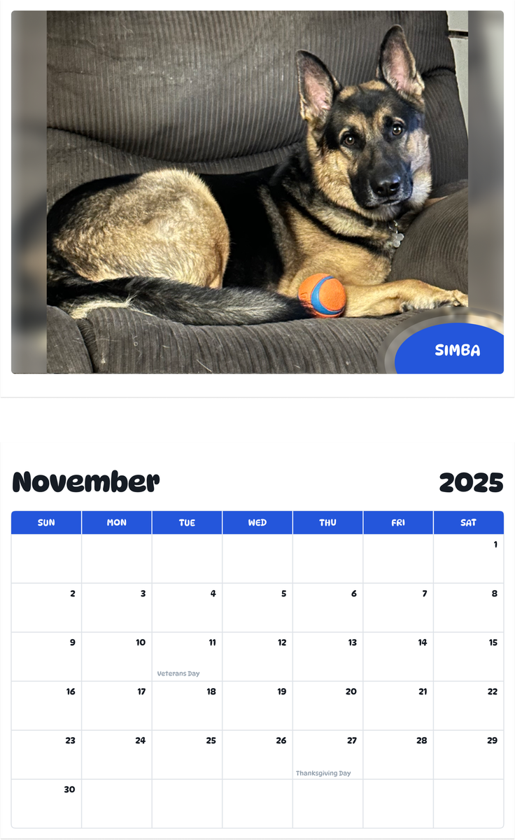 July 2025 - June 2026 Simba - Pawidols Pet Calendar