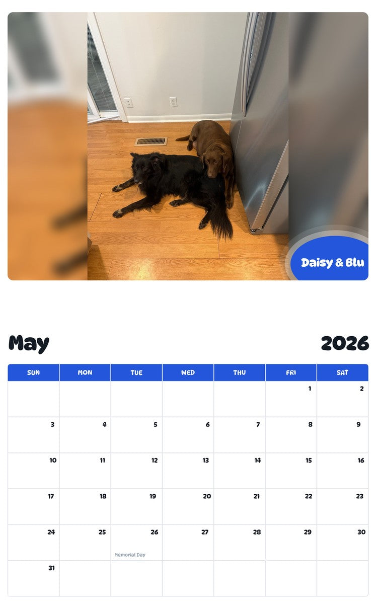 2026 - 2027 Daisy & Blu - Pawidols Pet Calendar