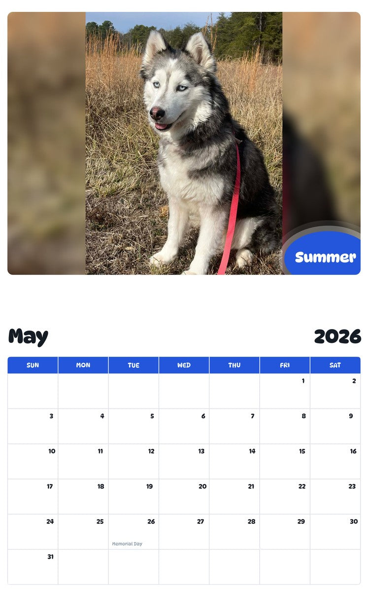 2026 - 2027 Summer - Pawidols Pet Calendar