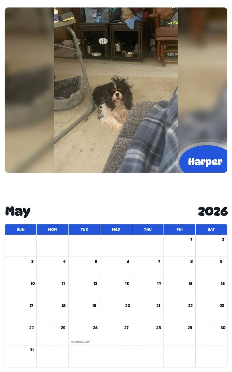 2026 - 2027 Harper - Pawidols Pet Calendar