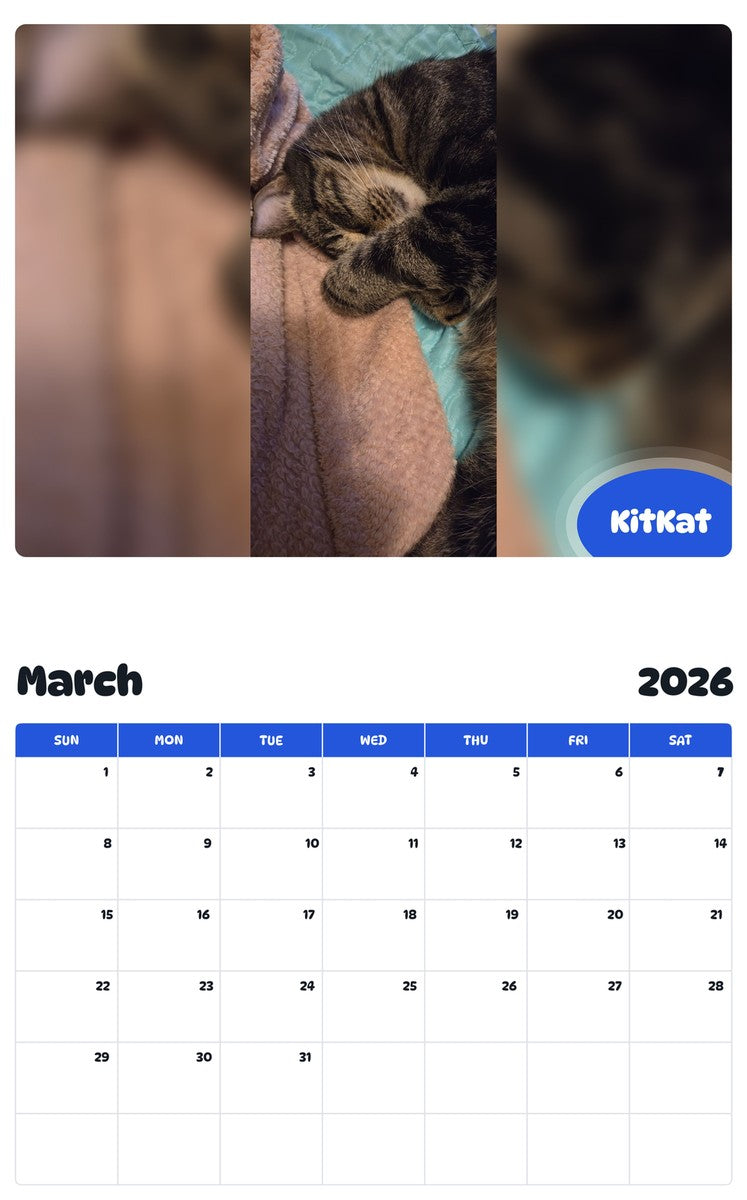 November 2025 - October 2026 KitKat - Pawidols Pet Calendar