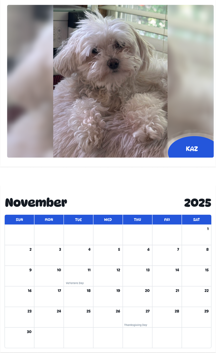July 2025 - June 2026 Kaz - Pawidols Pet Calendar