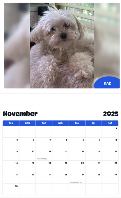 July 2025 - June 2026 Kaz - Pawidols Pet Calendar