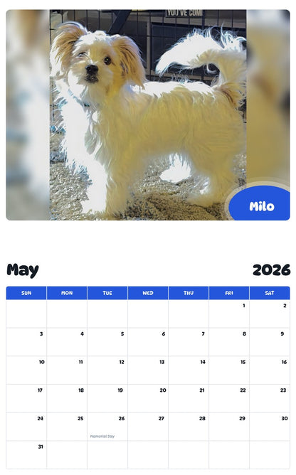 2026 - 2027 Milo - Pawidols Pet Calendar