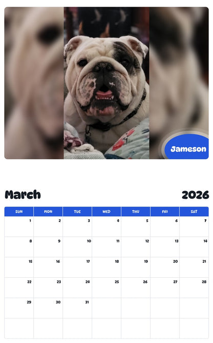 November 2025 - October 2026 Jameson - Pawidols Pet Calendar