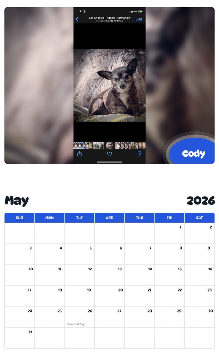 2026 - 2027 Cody - Pawidols Pet Calendar