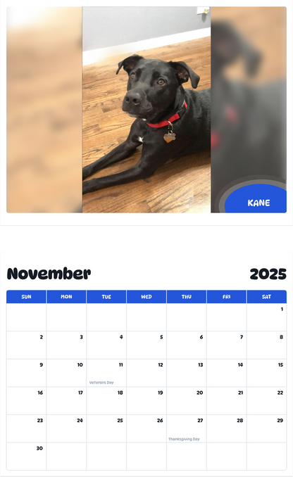July 2025 - June 2026 Kane - Pawidols Pet Calendar