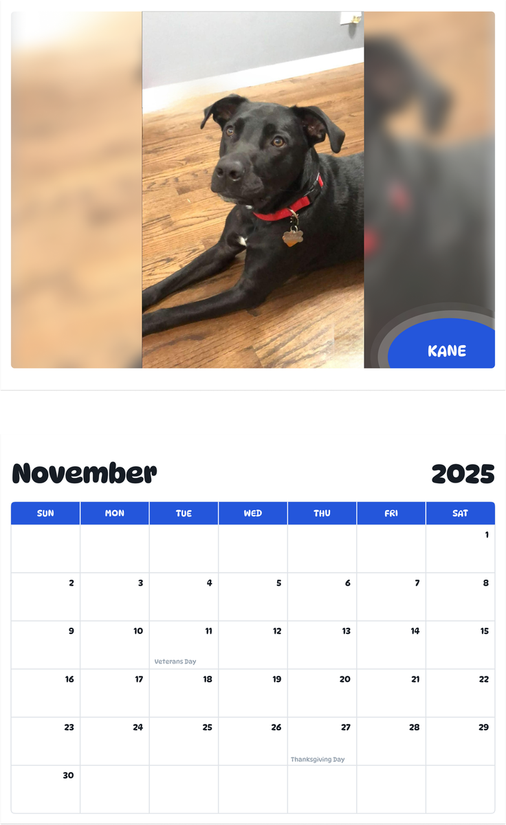 July 2025 - June 2026 Kane - Pawidols Pet Calendar
