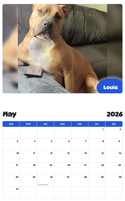 2026 - 2027 Louie - Pawidols Pet Calendar