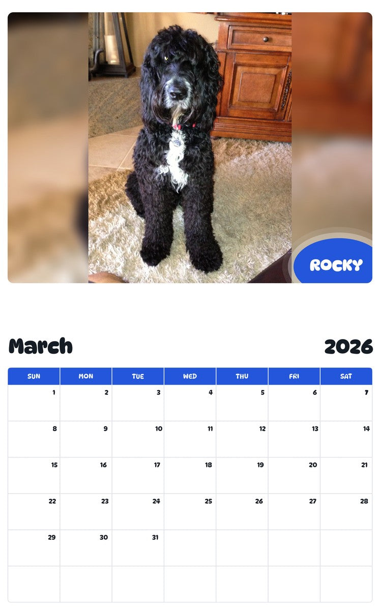 November 2025 - October 2026 ROCKY - Pawidols Pet Calendar