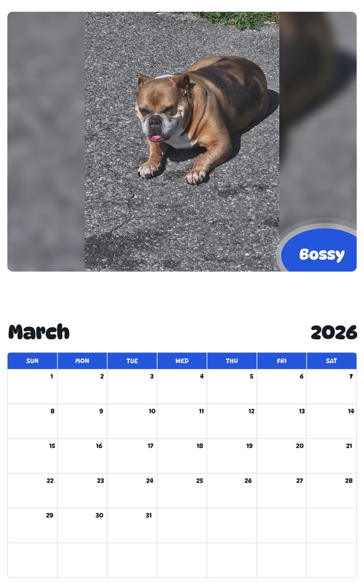 November 2025 - October 2026 Bossy - Pawidols Pet Calendar