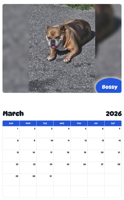 November 2025 - October 2026 Bossy - Pawidols Pet Calendar