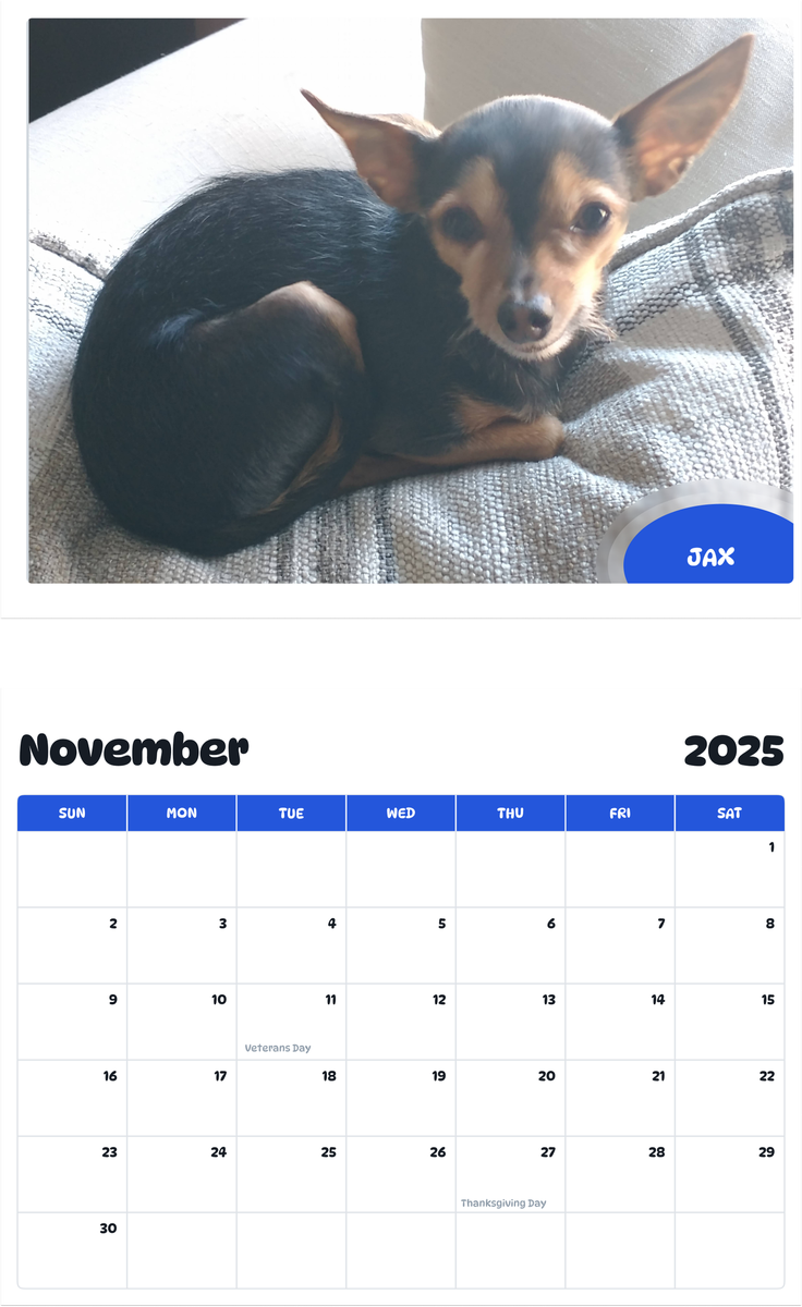 July 2025 - June 2026 Jax - Pawidols Pet Calendar