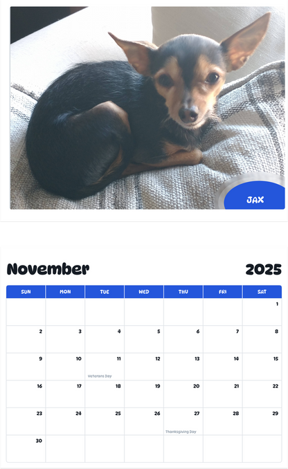 July 2025 - June 2026 Jax - Pawidols Pet Calendar
