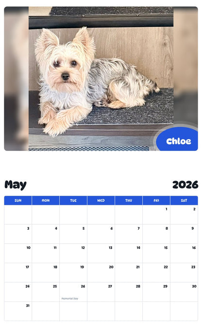 2026 - 2027 Chloe - Pawidols Pet Calendar