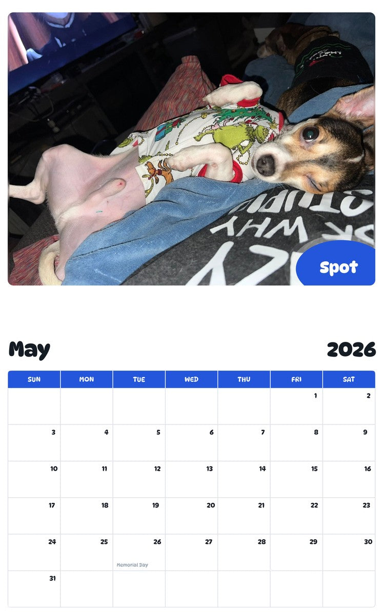 2026 - 2027 Spot - Pawidols Pet Calendar