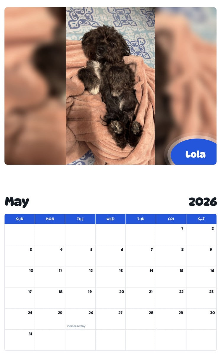 2026 - 2027 Lola - Pawidols Pet Calendar
