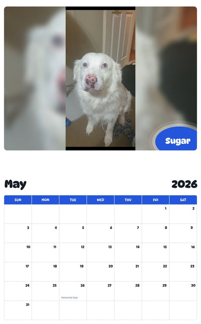 2026 - 2027 Sugar - Pawidols Pet Calendar