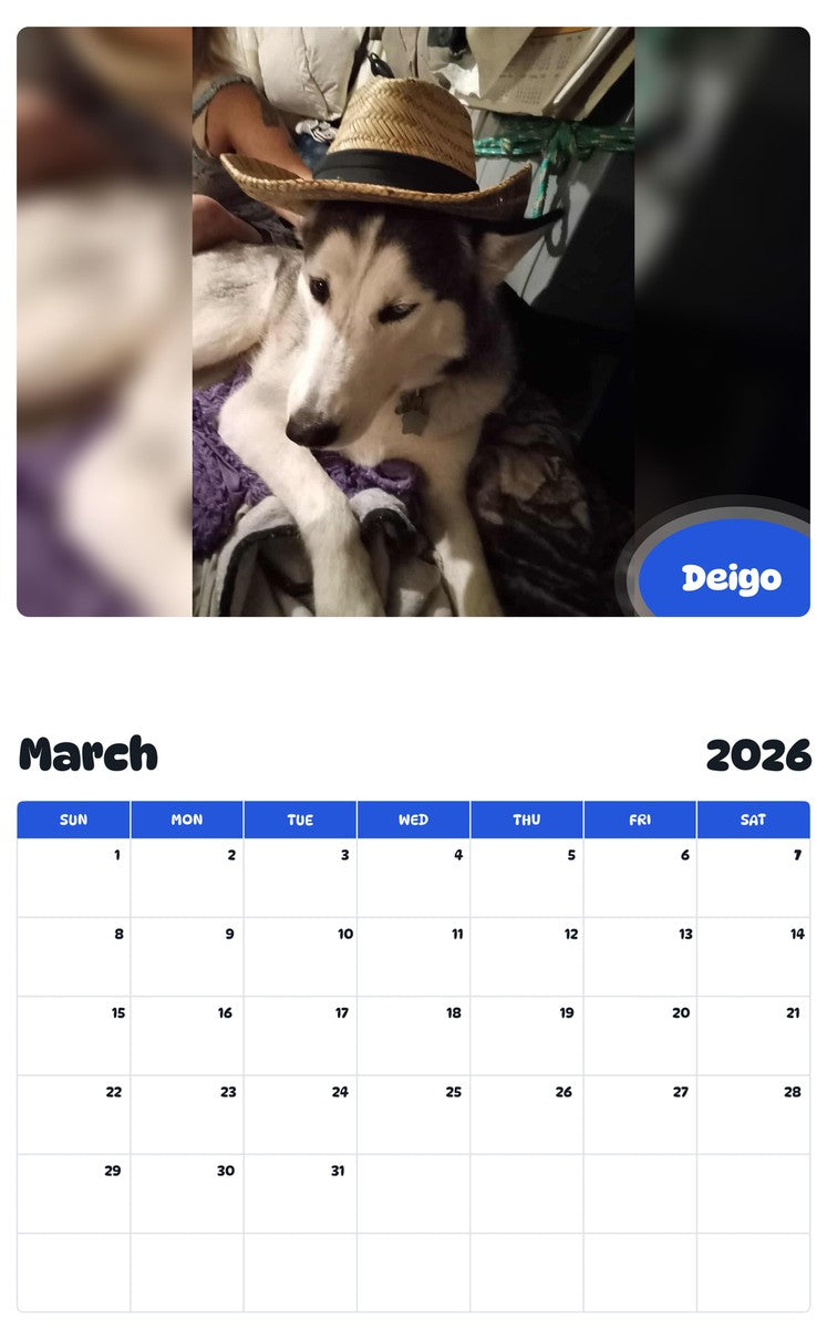 November 2025 - October 2026 Deigo - Pawidols Pet Calendar