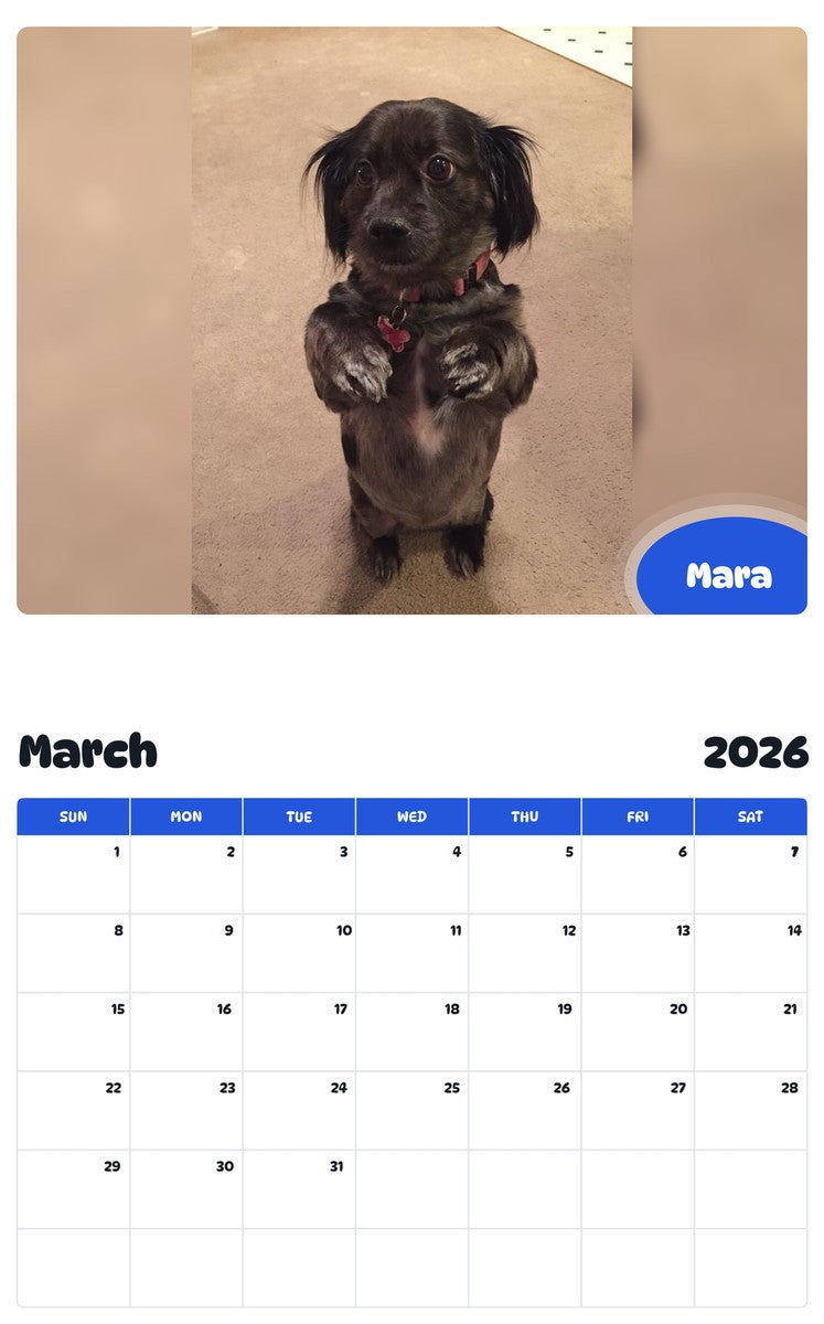 November 2025 - October 2026 Mara - Pawidols Pet Calendar