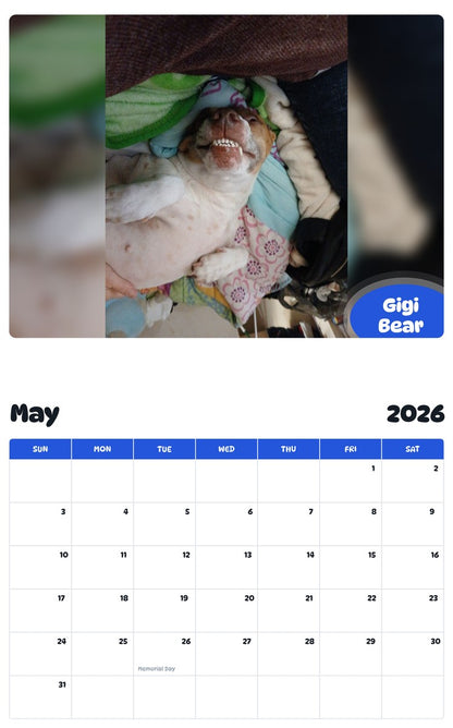2026 - 2027 Gigi Bear - Pawidols Pet Calendar