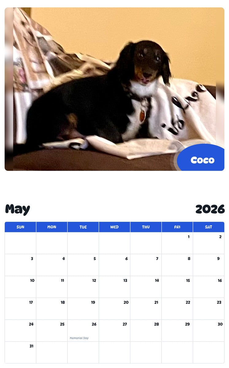 2026 - 2027 Coco - Pawidols Pet Calendar
